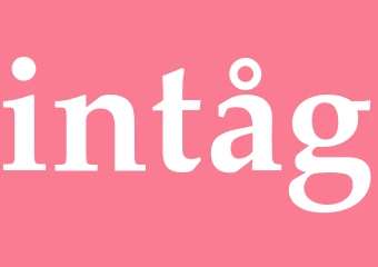 Synonym intåg