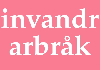 Synonym invandrarbråk