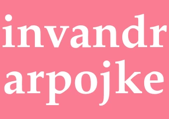 Synonym invandrarpojke