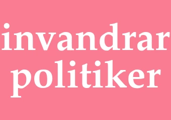 Synonym invandrarpolitiker