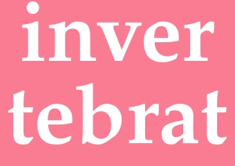 Synonym invertebrat