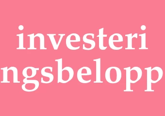 Synonym investeringsbelopp