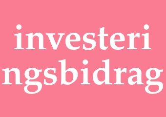 Synonym investeringsbidrag