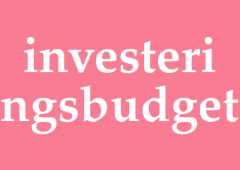 Synonym investeringsbudget