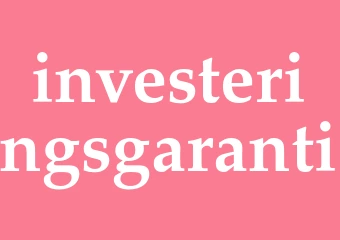 Synonym investeringsgaranti