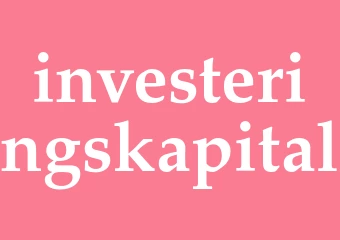 Synonym investeringskapital
