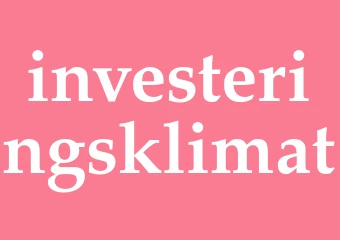 Synonym investeringsklimat