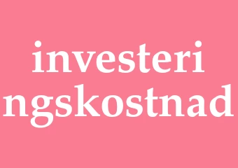 Synonym investeringskostnad