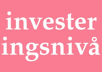 Synonym investeringsnivå