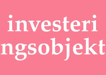 Synonym investeringsobjekt
