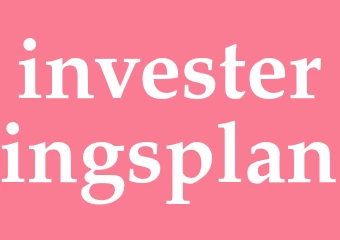 Synonym investeringsplan