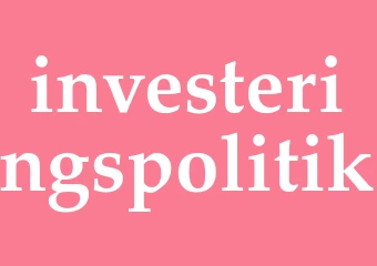 Synonym investeringspolitik