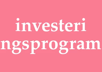 Synonym investeringsprogram