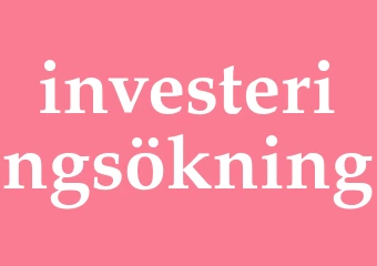 Synonym investeringsökning