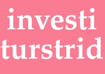 Synonym investiturstrid