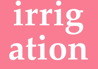 Synonym irrigation