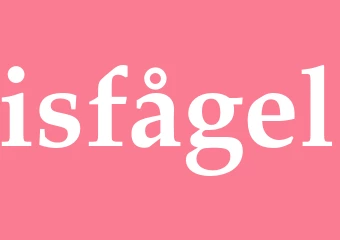 Synonym isfågel
