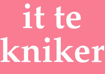 Synonym it-tekniker