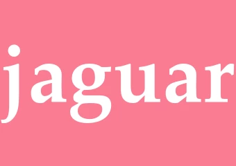 Synonym jaguar