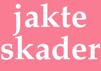 Synonym jakteskader