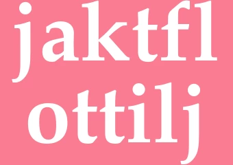 Synonym jaktflottilj