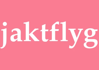 Synonym jaktflyg