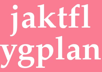 Synonym jaktflygplan