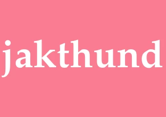 Synonym jakthund