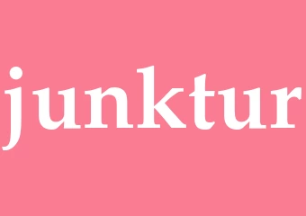 Synonym junktur