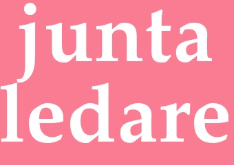 Synonym juntaledare
