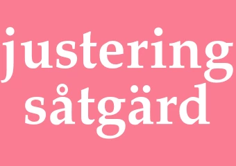 Synonym justeringsåtgärd