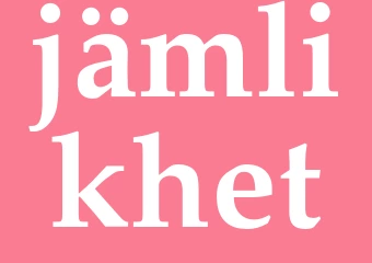 Synonym jämlikhet