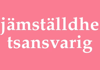 Synonym jämställdhetsansvarig