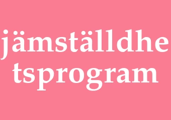 Synonym jämställdhetsprogram