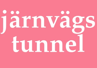 Synonym järnvägstunnel