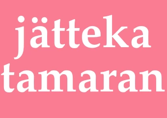 Synonym jättekatamaran