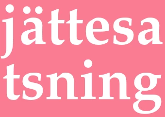 Synonym jättesatsning