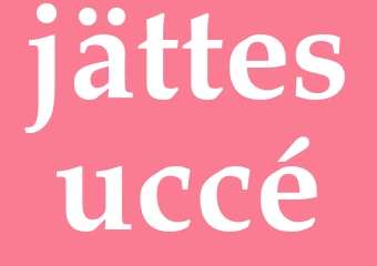 Synonym jättesuccé