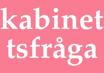 Synonym kabinettsfråga