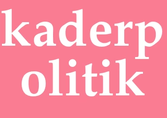 Synonym kaderpolitik