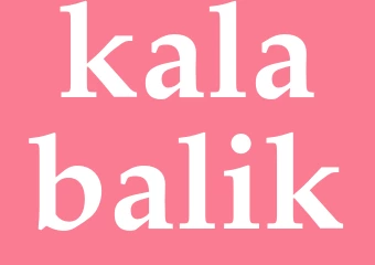 Synonym kalabalik