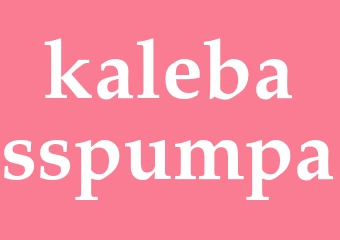 Synonym kalebasspumpa
