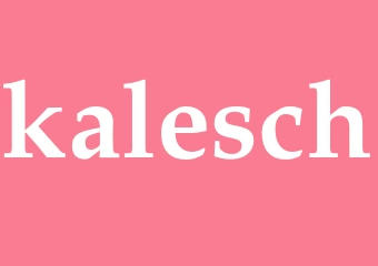 Synonym kalesch
