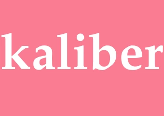 Synonym kaliber