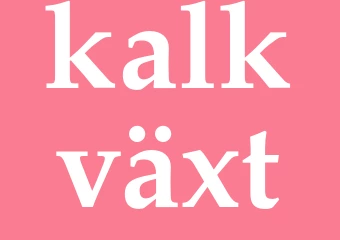 Synonym kalkväxt