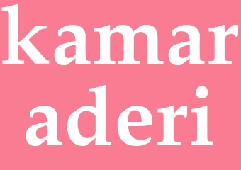 Synonym kamaraderi