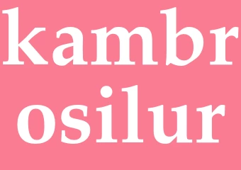 Synonym kambrosilur