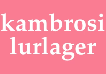 Synonym kambrosilurlager
