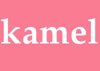 Synonym kamel