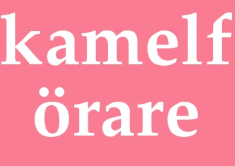 Synonym kamelförare